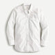 Shirts (Button Down)